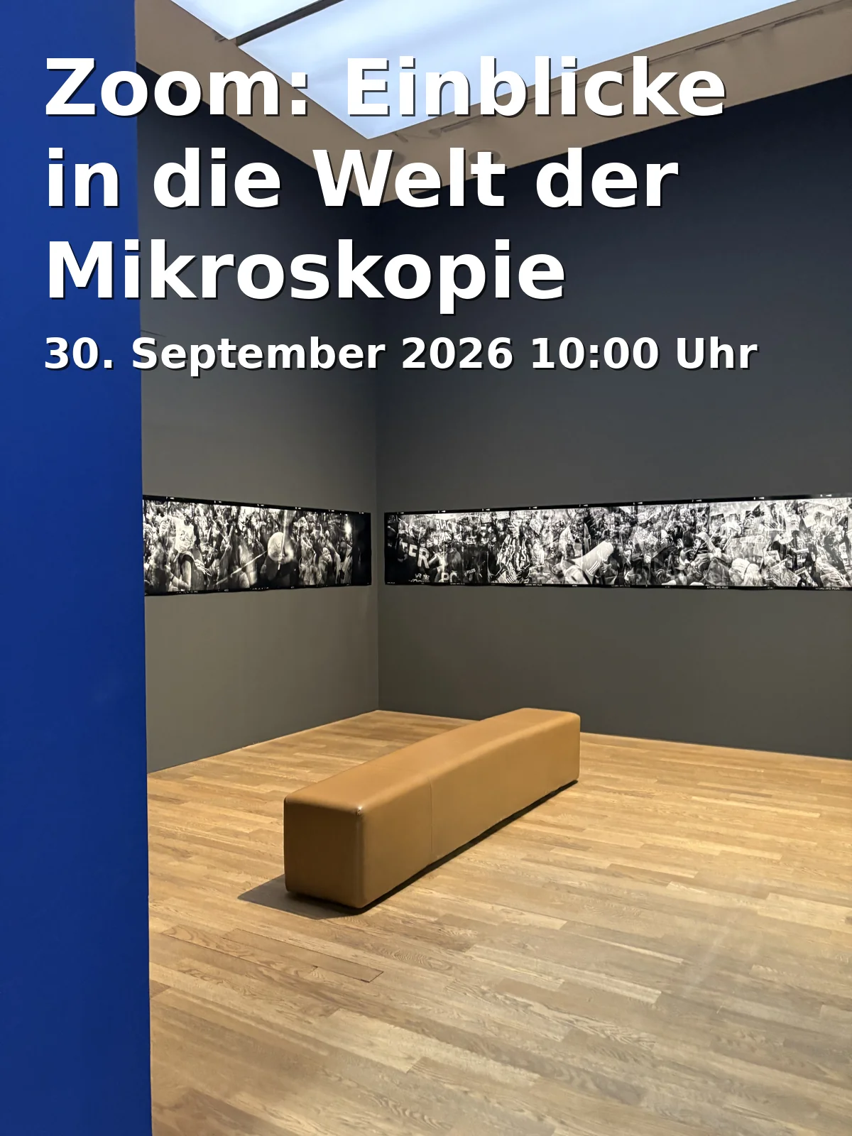 Event: Zoom: Einblicke in die Welt der Mikroskopie in Hessisches Landesmuseum, Brüder-Grimm-Platz 5, 34117 Kassel on 30. September 2026