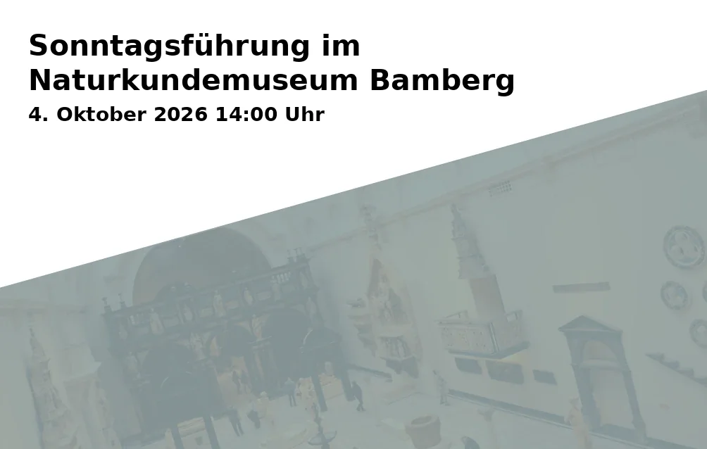 Event: Sonntagsführung im Naturkundemuseum Bamberg in Naturkunde-Museum, Fleischstraße 2, 96047 Bamberg on 4. Oktober 2026