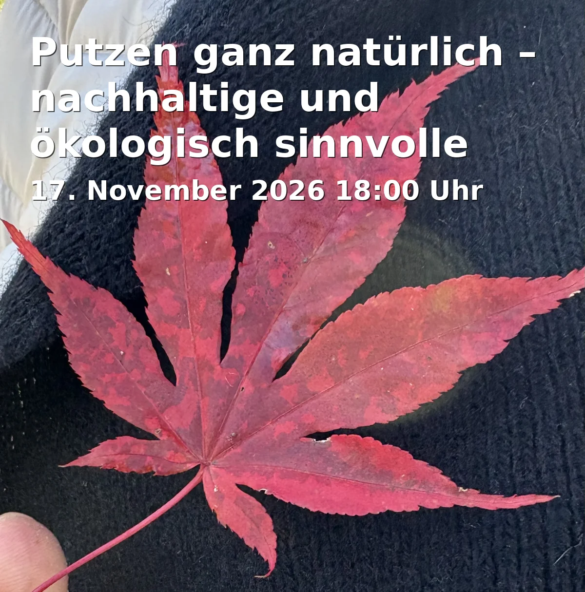 Event: Putzen ganz natürlich – nachhaltige und ökologisch sinnvolle Putzmittel in Familienstützpunkt, Ludwig-Thoma-Straße 16-18, 95447 Bayreuth on 17. November 2026