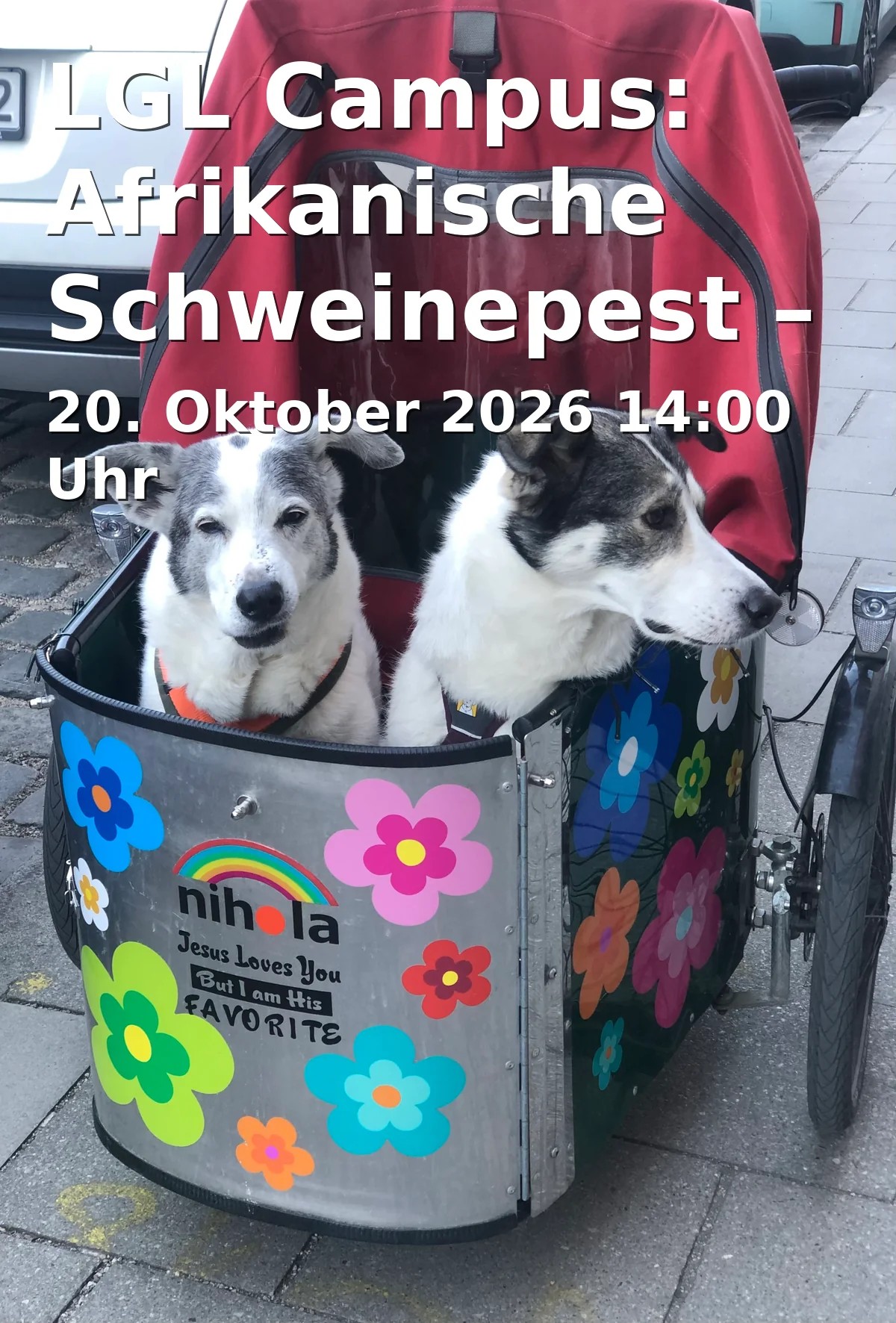 Event: LGL Campus: Afrikanische Schweinepest – Drohnen und Kadaversuchhunde