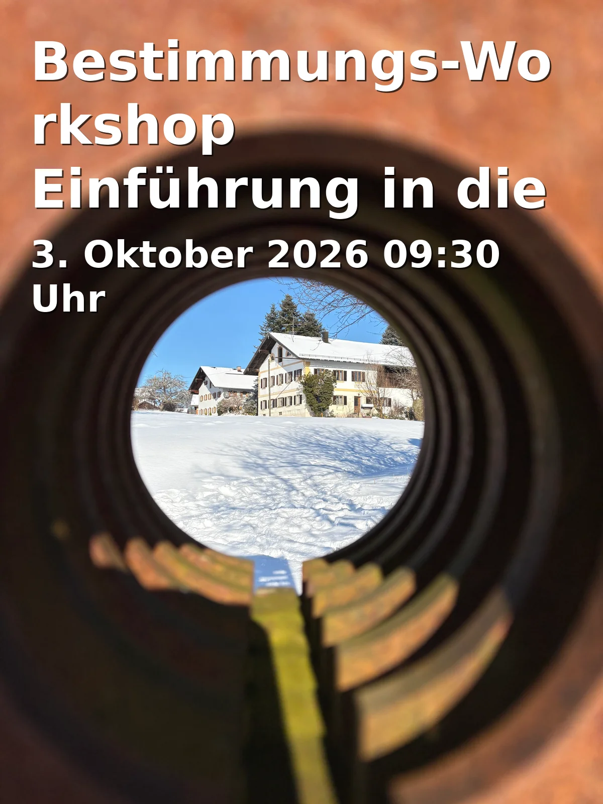 Event: Bestimmungs-Workshop Einführung in die Welt der Pilze in Botanischer Garten der Friedrich-Alexander-Universität Erlangen-Nürnberg, Loschgestr. 1, 91054 Erlangen on 3. Oktober 2026