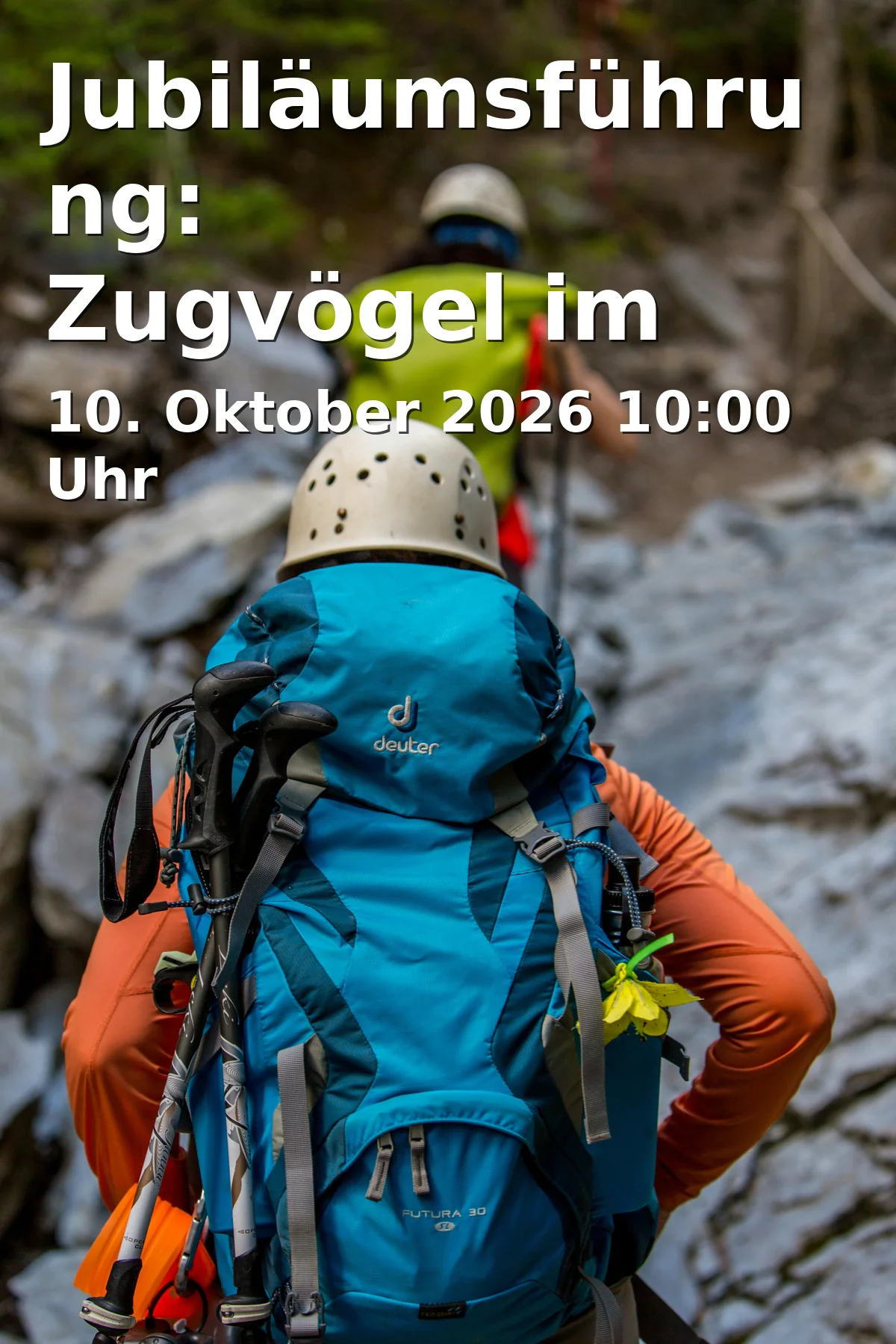 Event: Jubiläumsführung: Zugvögel im Ramsar-Gebiet Starnberger See in Pöcking, genauer Treffpunkt wird bei Anmeldung bekannt gegeben on 10. Oktober 2026