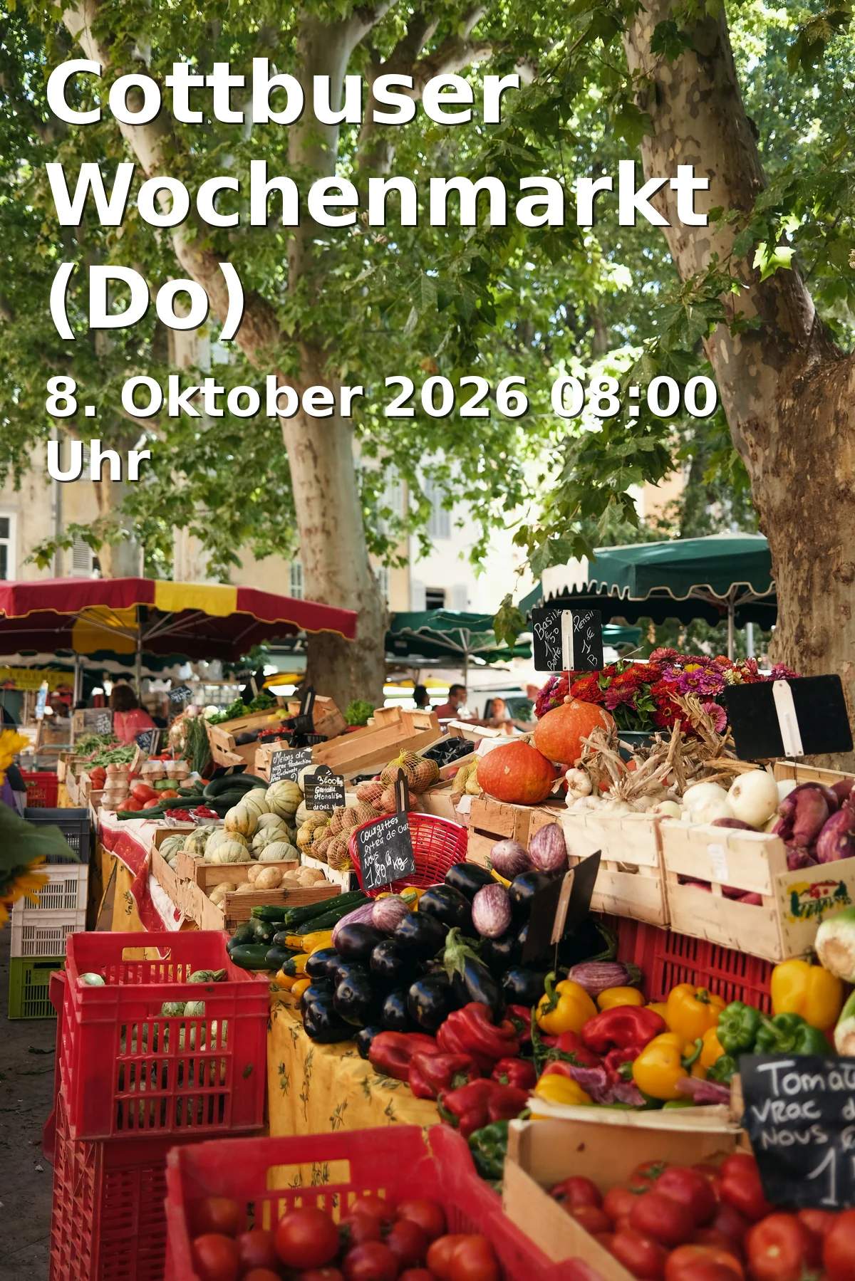 Event: Cottbuser Wochenmarkt (Do)
