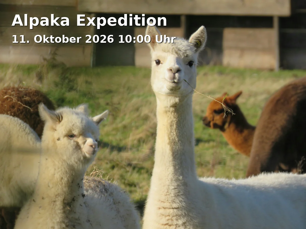 Event: Alpaka Expedition in Truppach 3, 95490 Mistelgau on 11. Oktober 2026