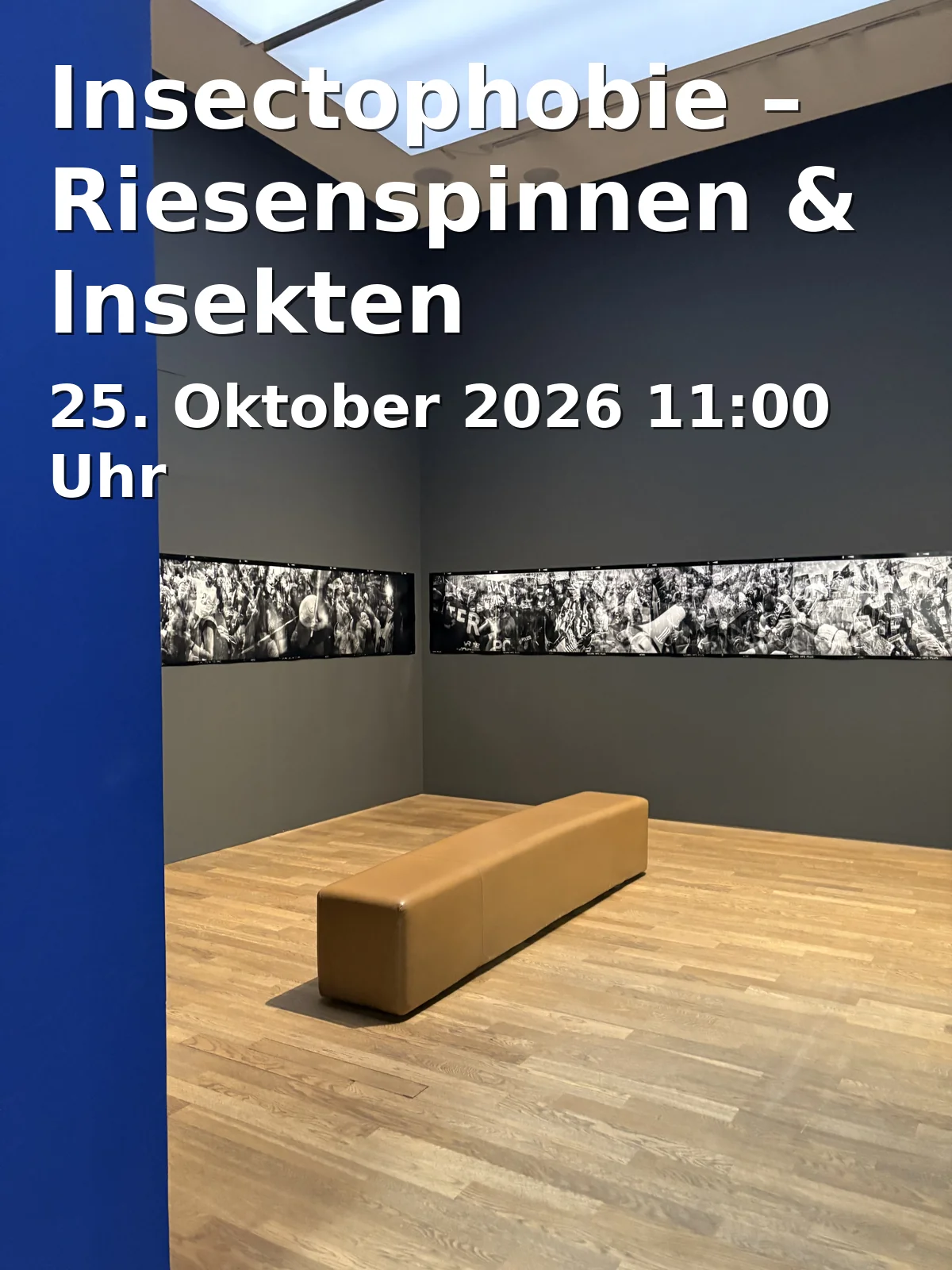 Event: Insectophobie – Riesenspinnen & Insekten in Ballhaus Rosenheim, Weinstraße 12, 83022 Rosenheim on 25. Oktober 2026