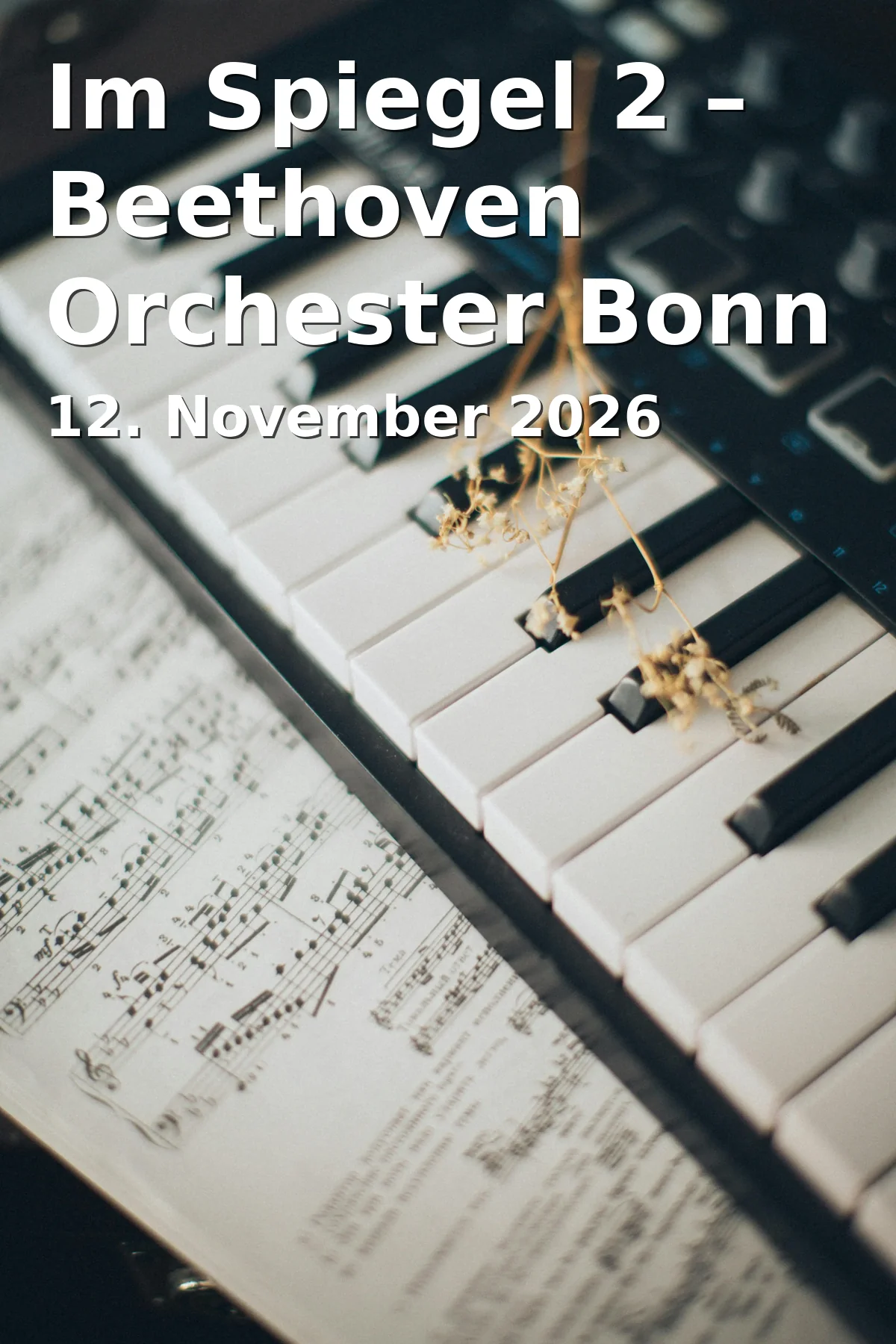 Event: Im Spiegel 2 – Beethoven Orchester Bonn in Beethovenhalle, Wachsbleiche 16, 53111 Bonn on 12. November 2026