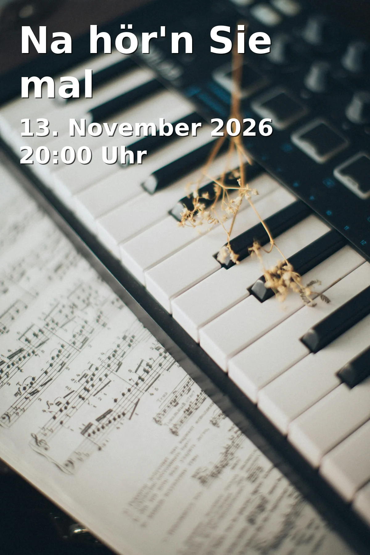 Event: Na hör'n Sie mal in Tonhalle Düsseldorf, Trautvetter-Brückner-Saal, Ehrenhof 1, 40479 Düsseldorf on 13. November 2026