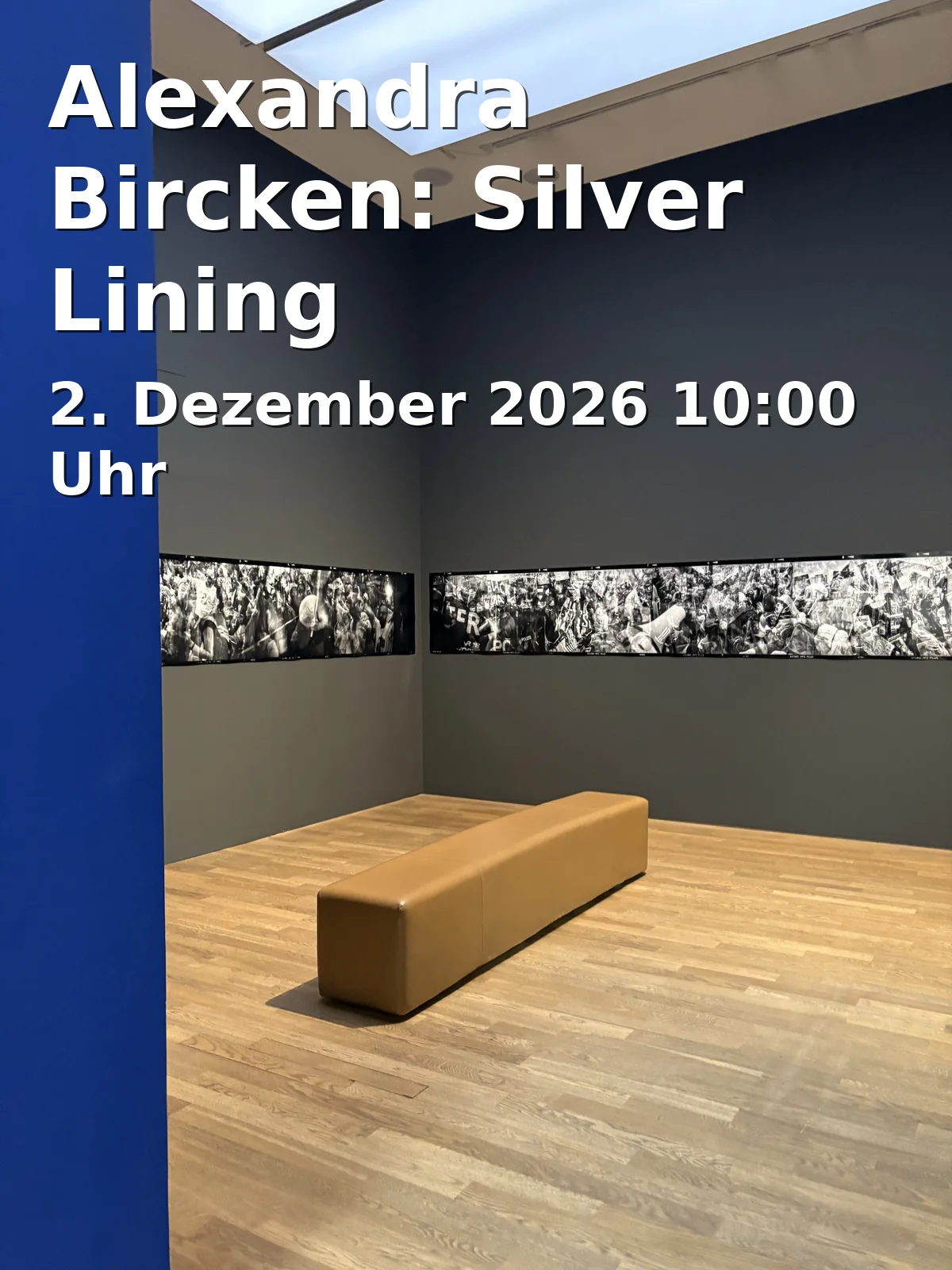 Event: Alexandra Bircken: Silver Lining