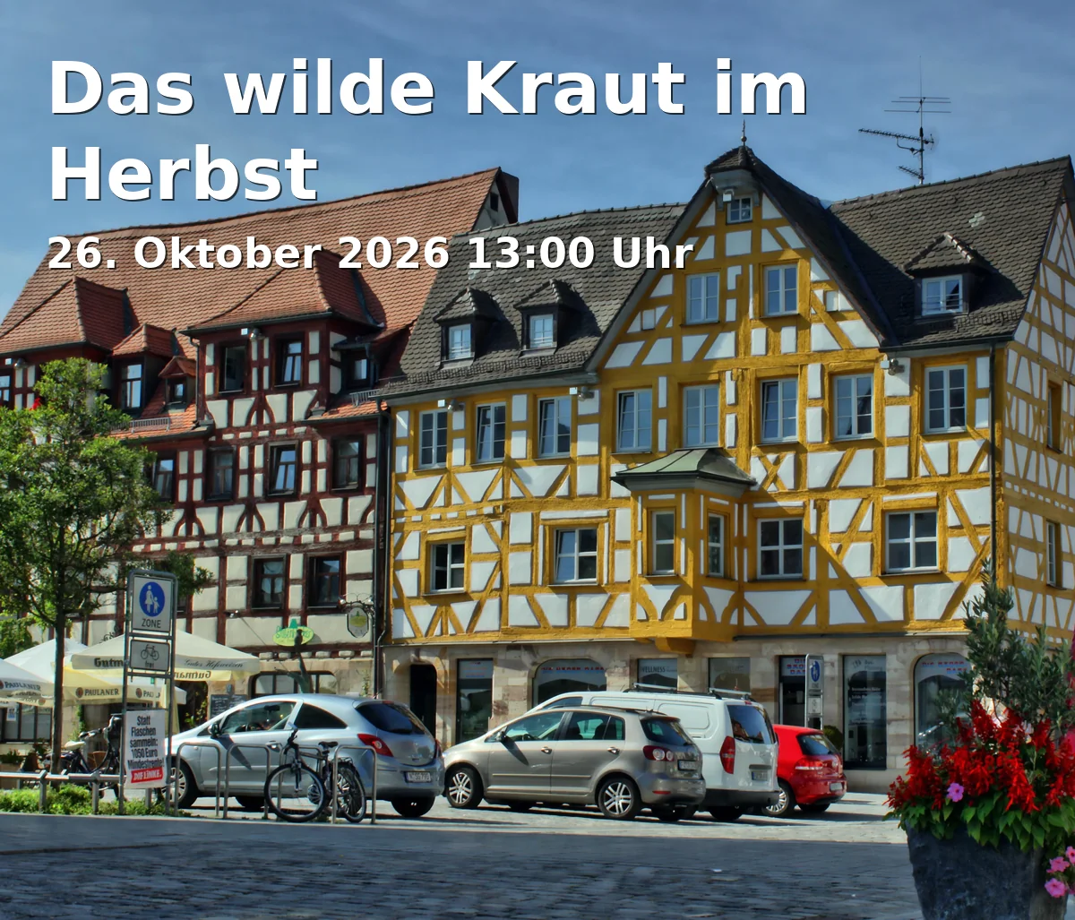 Event: Das wilde Kraut im Herbst in Stadtpark Fürth, über Engelhardtstraße, 90762 Fürth on 26. Oktober 2026