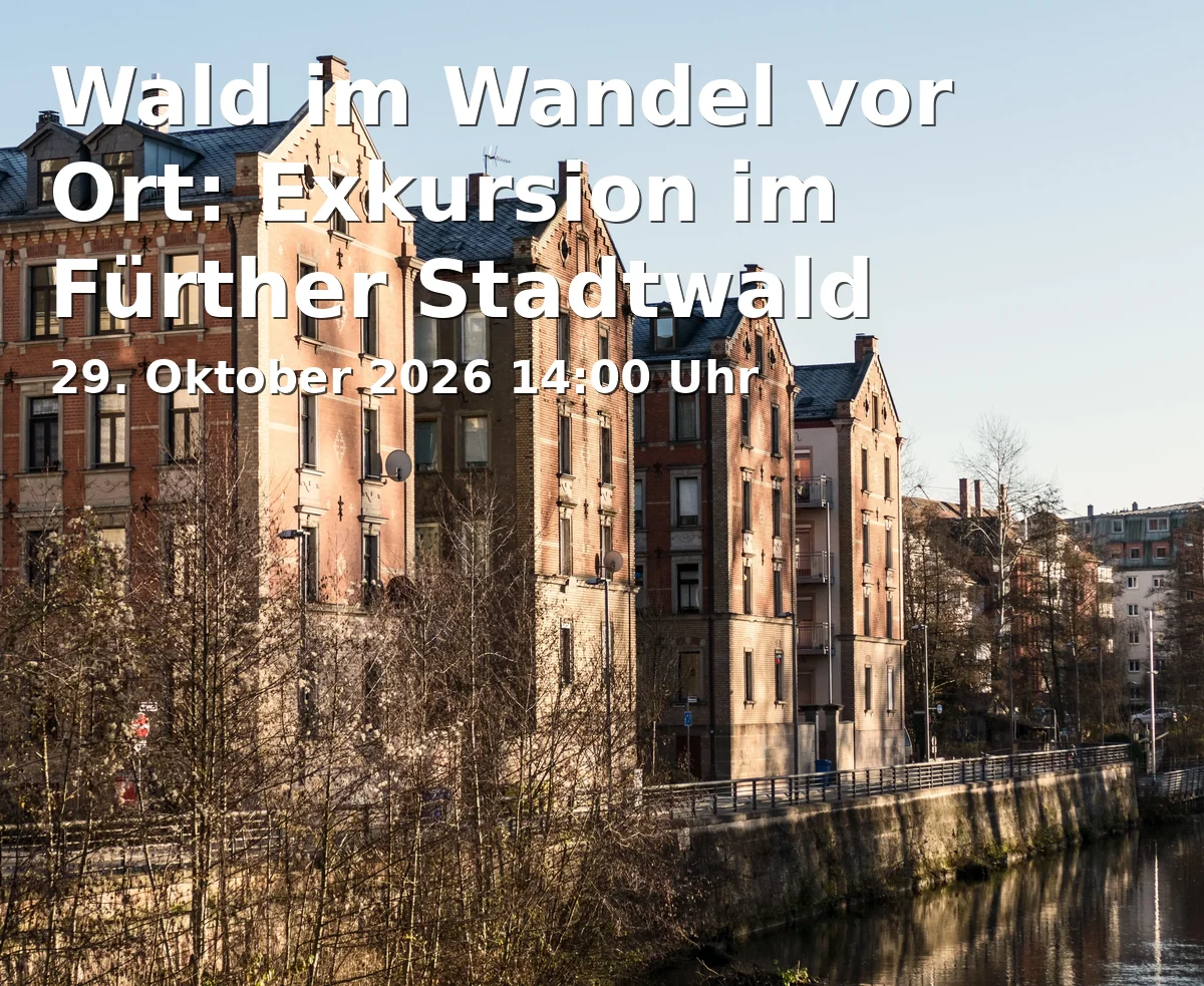 Wald im Wandel vor Ort: Exkursion im Fürther Stadtwald