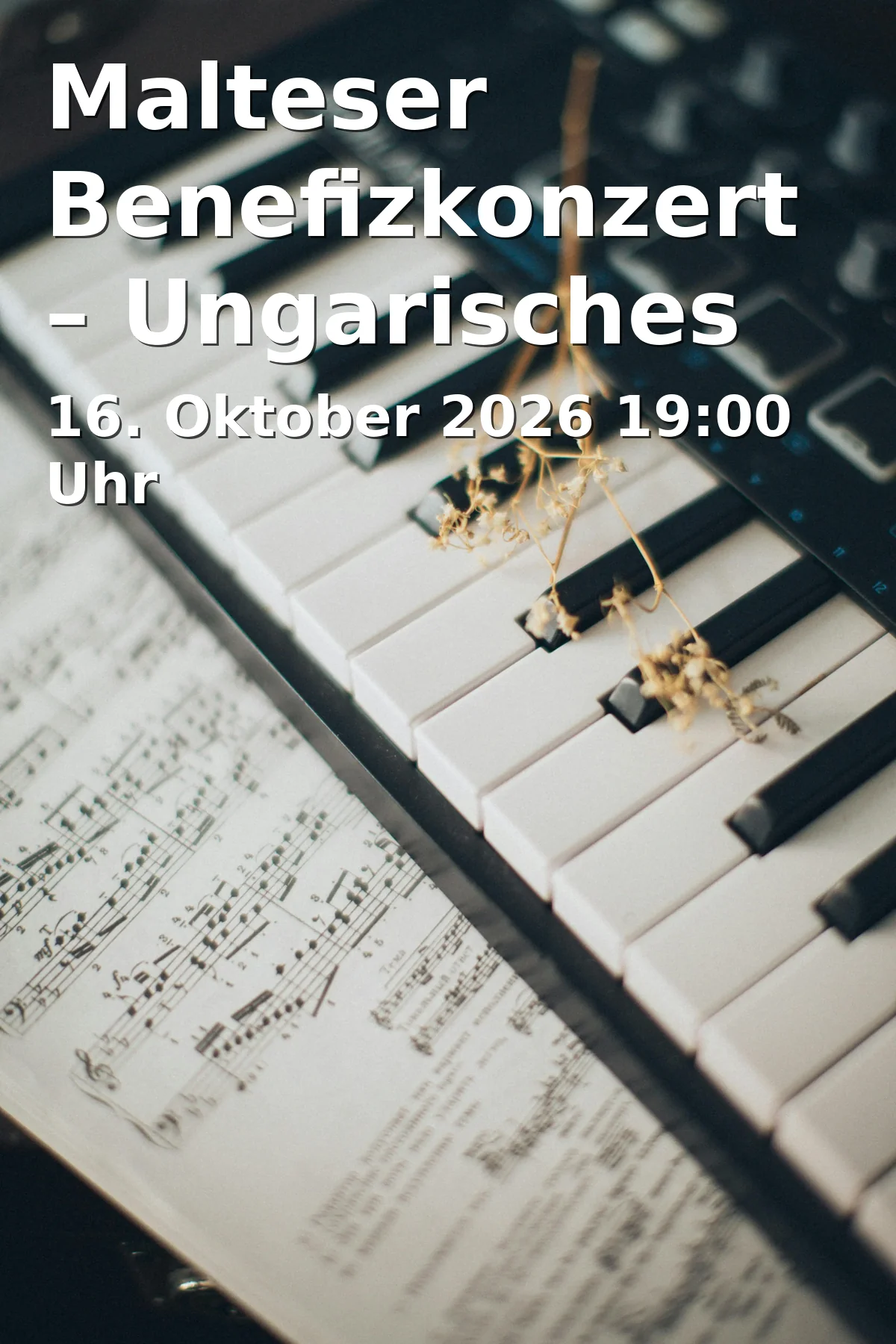 Event: Malteser Benefizkonzert – Ungarisches Roma-Jugendorchester