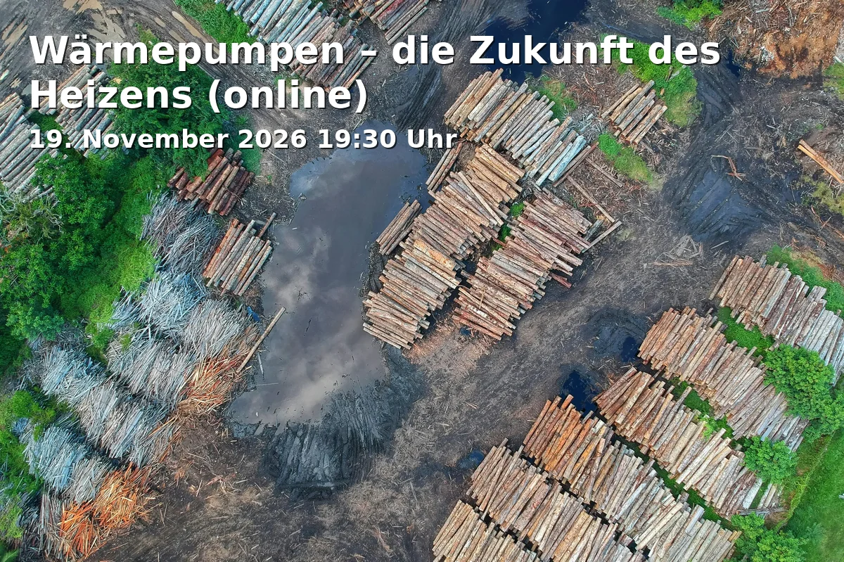 Event: Wärmepumpen – die Zukunft des Heizens (online)