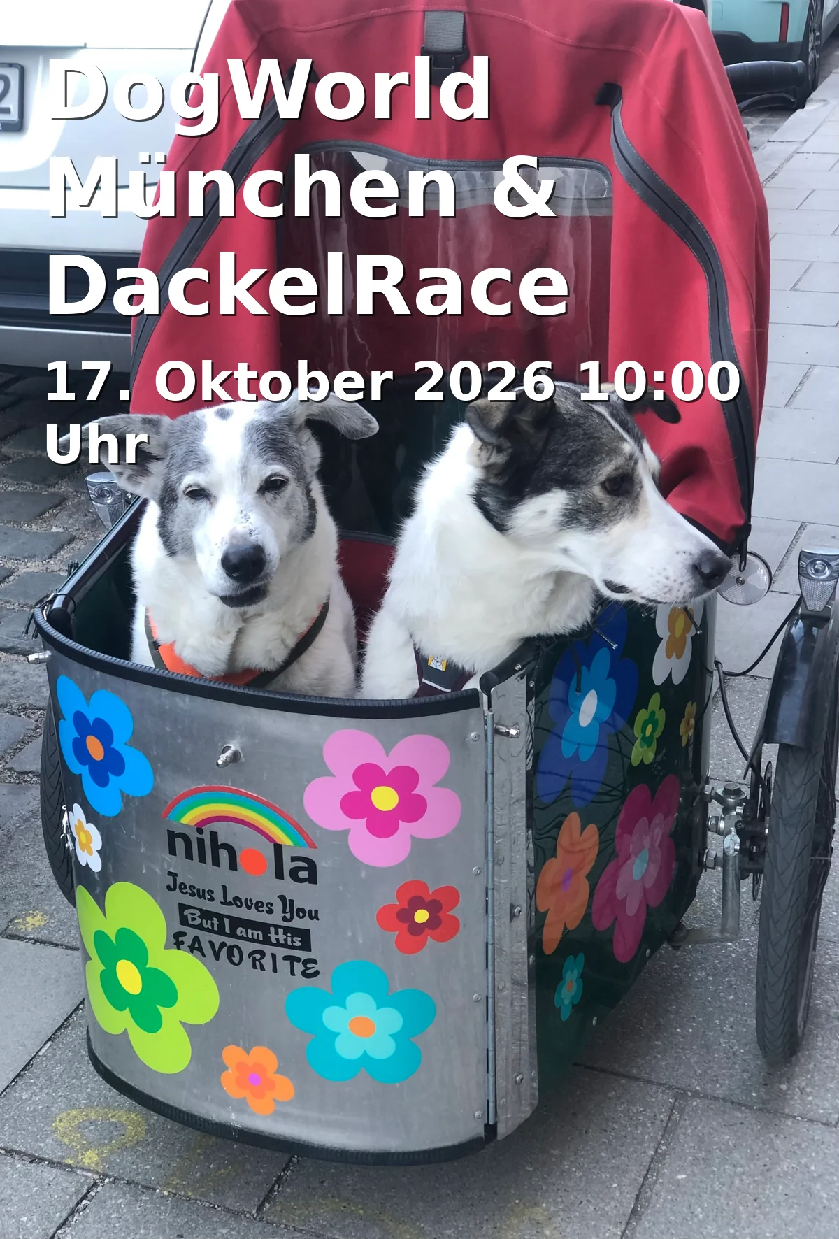 Event: DogWorld München & DackelRace