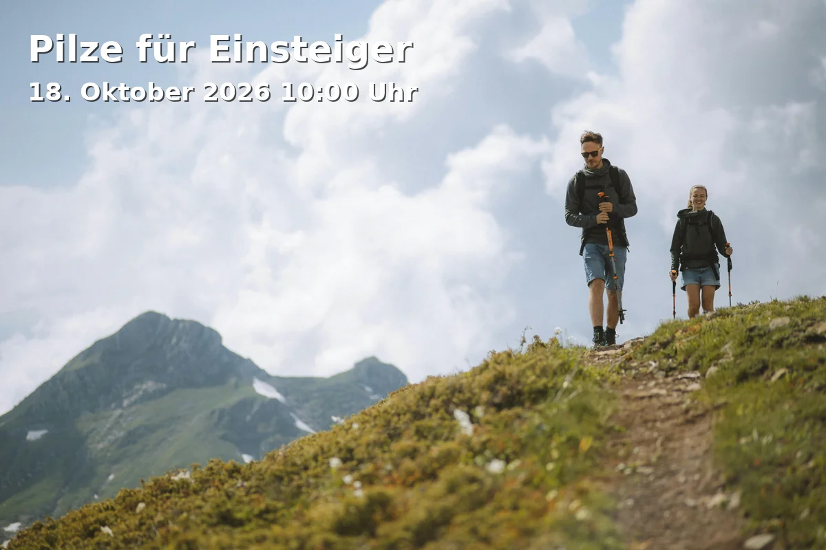 Event: Pilze für Einsteiger in Biologische Station, Niederheide 63, 33659 Bielefeld on 18. Oktober 2026