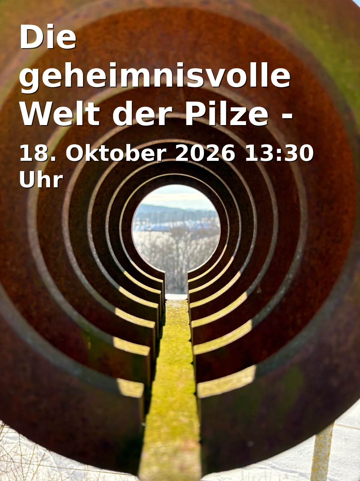 Event: Die geheimnisvolle Welt der Pilze - eine Entdeckungstour in Biologische Station, Niederheide 63, 33659 Bielefeld-Senne on 18. Oktober 2026