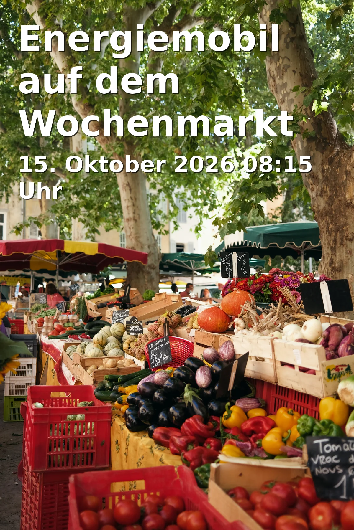 Energiemobil auf dem Wochenmarkt Am Schwanebitzer Hof