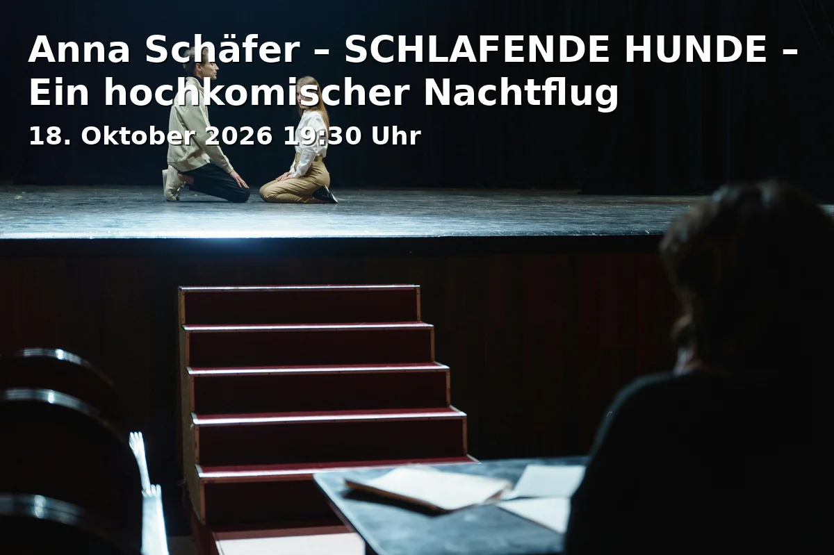 Event: Anna Schäfer – SLEEPING DOGS – A Highly Comedic Night Flight