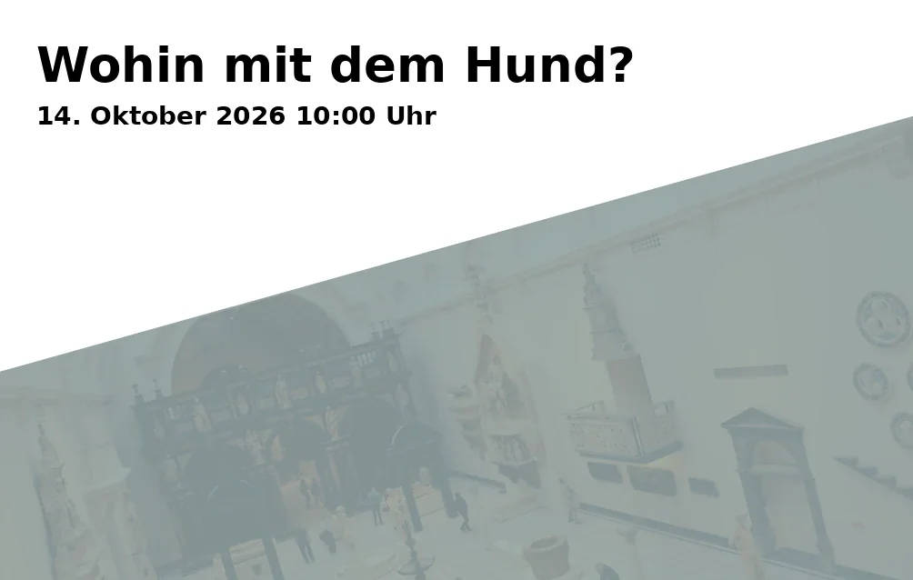Event: Wohin mit dem Hund?