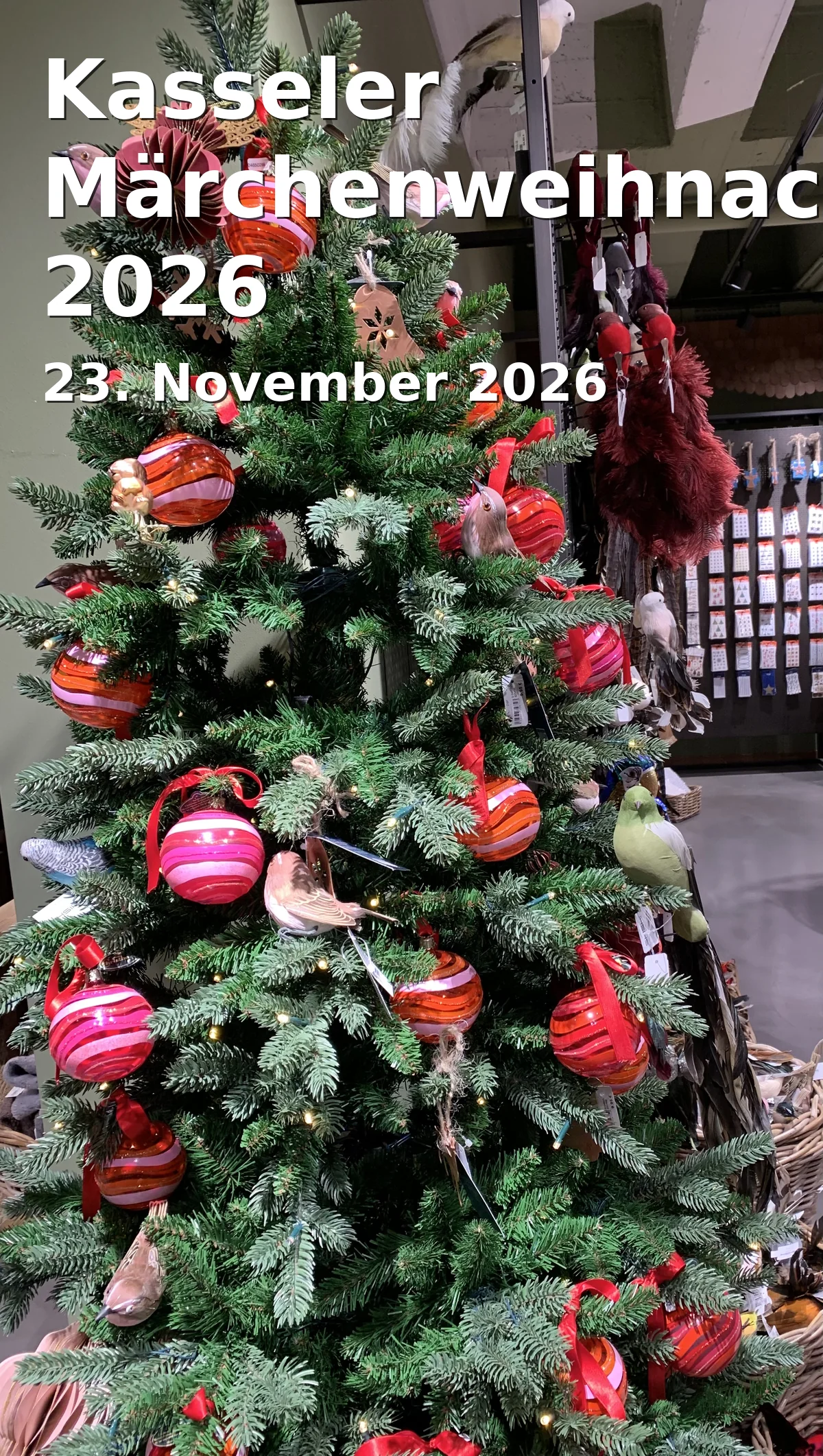 Event: Kasseler Märchenweihnachtsmarkt 2026