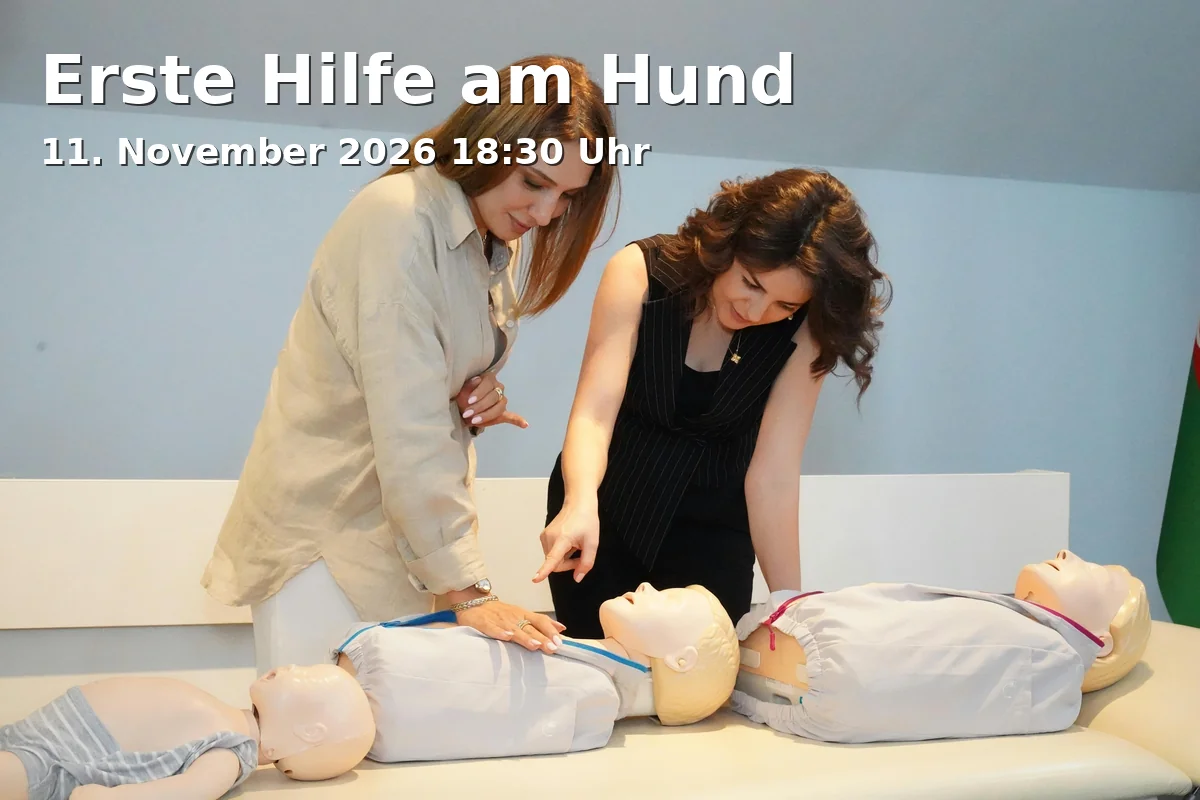 Event: Erste Hilfe am Hund in vhs-Seminarzentrum 17, 1. OG, Raum 101, Stadtplatz 17, 83278 Traunstein on 11. November 2026