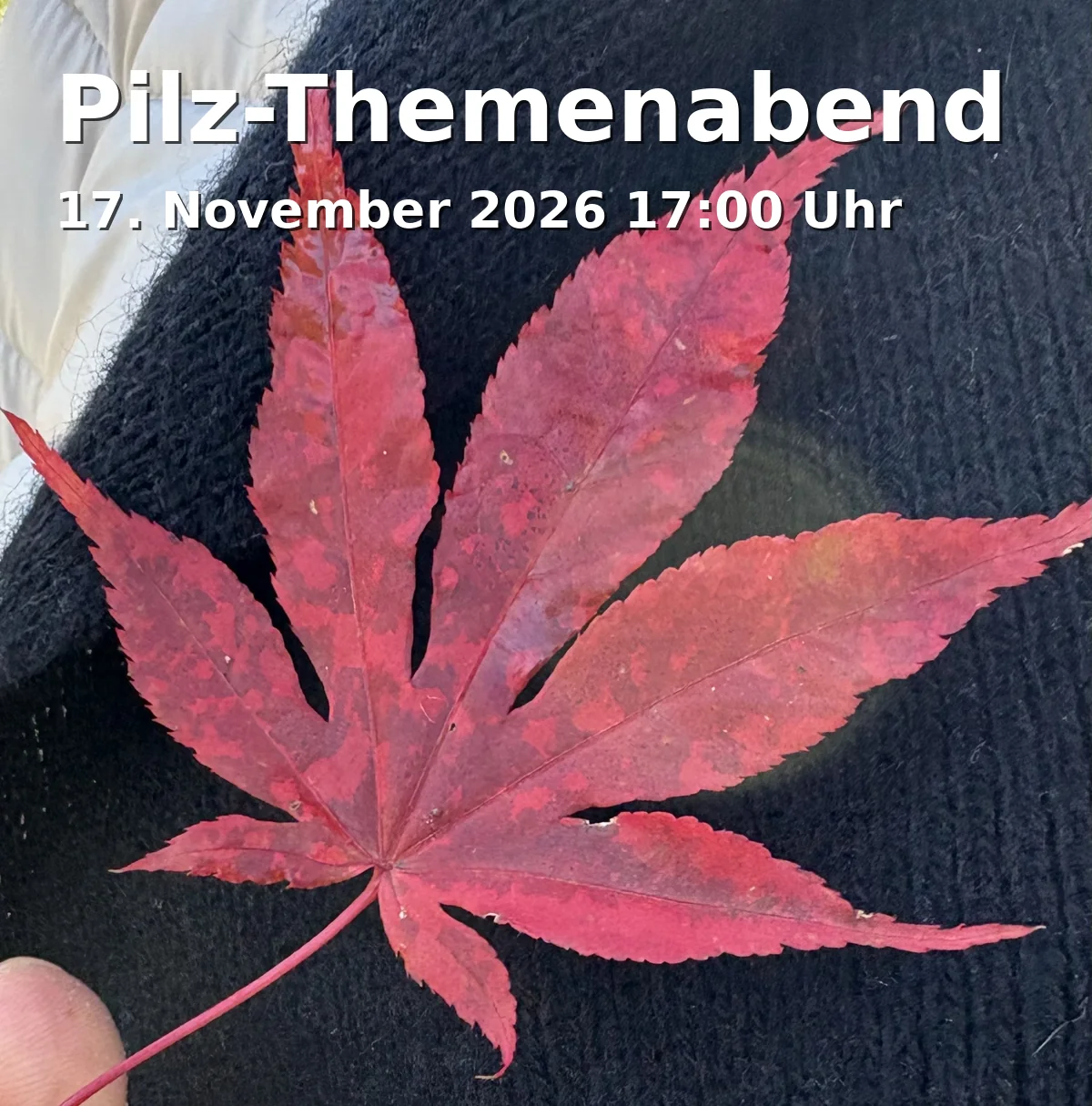 Event: Pilz-Themenabend in Haus der Natur, Lindenstr. 34, 14467 Potsdam on 17. November 2026