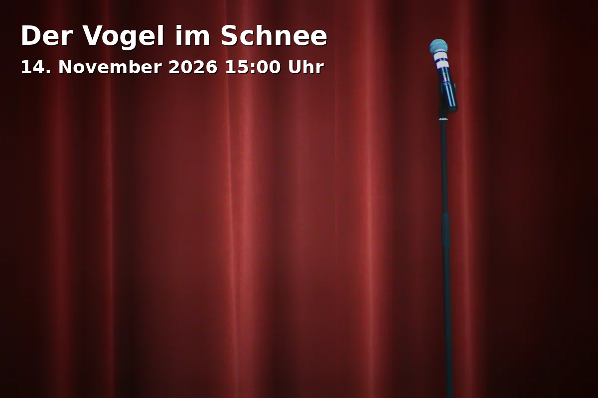 Event: Der Vogel im Schnee in Theater Fadenschein, Adresse nicht angegeben, Braunschweig on 14. November 2026