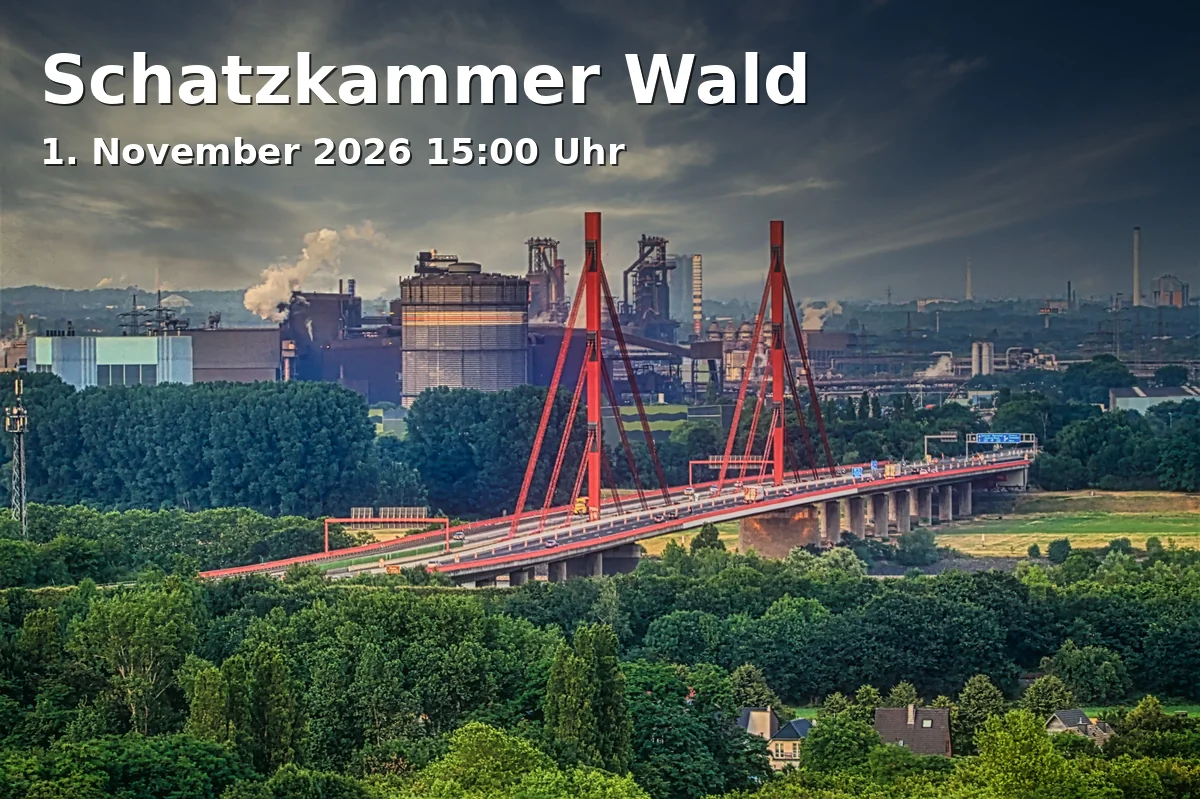 Event: Schatzkammer Wald in Kultur- und Stadthistorisches Museum, Johannes-Corputius-Platz 1, 47051 Duisburg on 1. November 2026