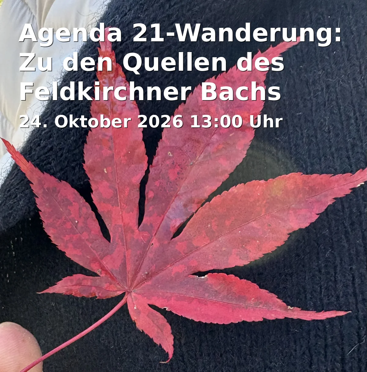 Event: Agenda 21-Wanderung: Zu den Quellen des Feldkirchner Bachs in Parkplatz an der Schießstattstraße, Feldkirchen-Westerham on 24. Oktober 2026