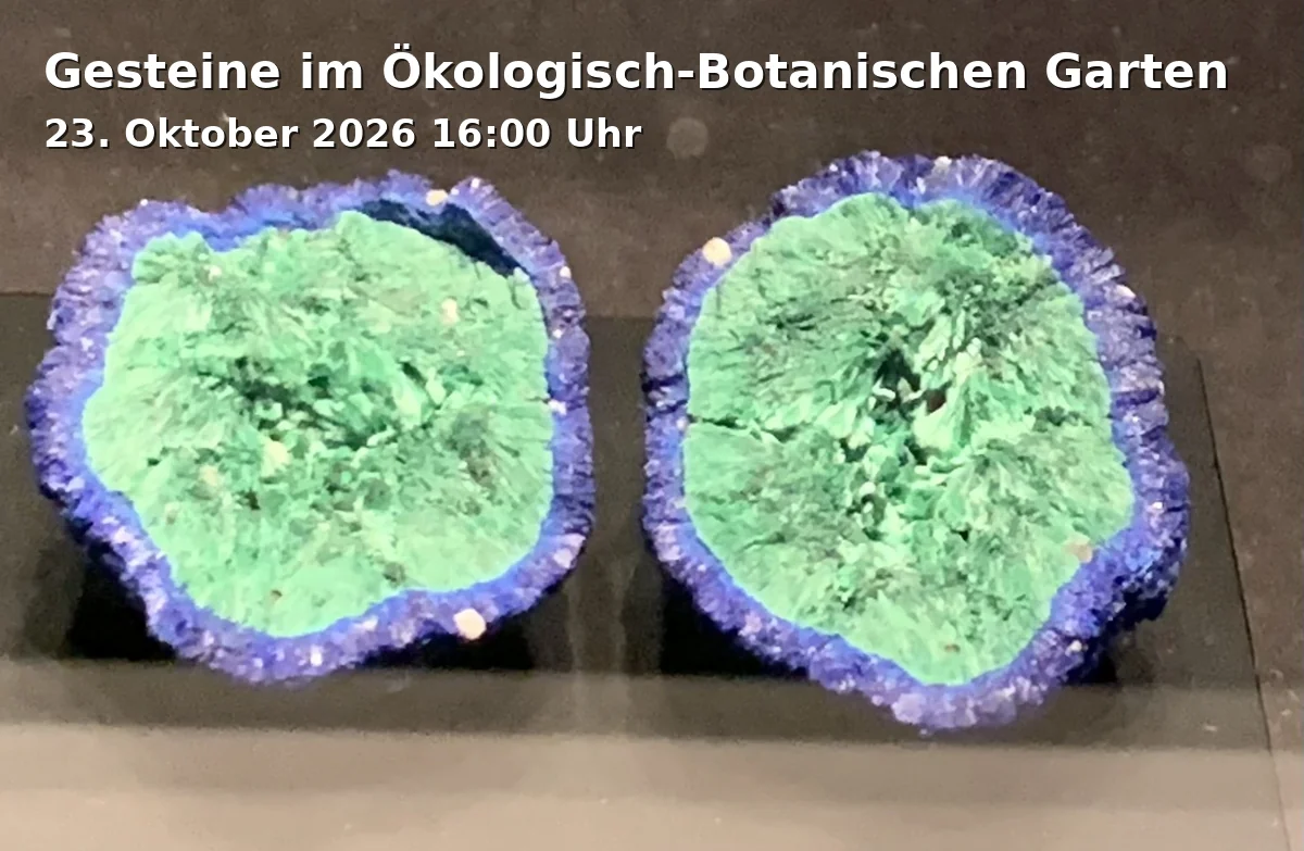 Event: Gesteine im Ökologisch-Botanischen Garten in Ökologisch-Botanischer Garten (Universität Bayreuth), Freigelände, Universitätsstraße 30, 95447 Bayreuth on 23. Oktober 2026