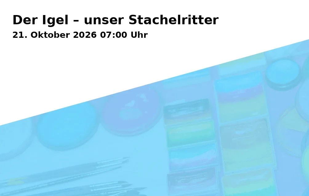 Der Igel – unser Stachelritter