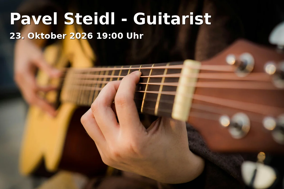 Pavel Steidl - Guitarist