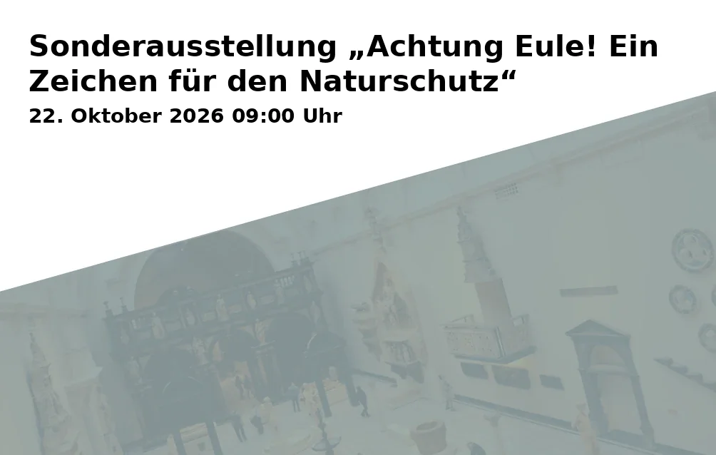 Sonderausstellung „Achtung Eule! Ein Zeichen für den Naturschutz“