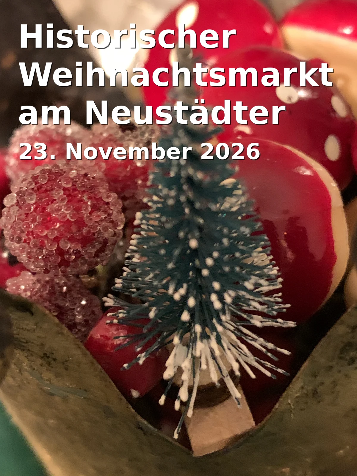 Historischer Weihnachtsmarkt am Neustädter Kirchenplatz