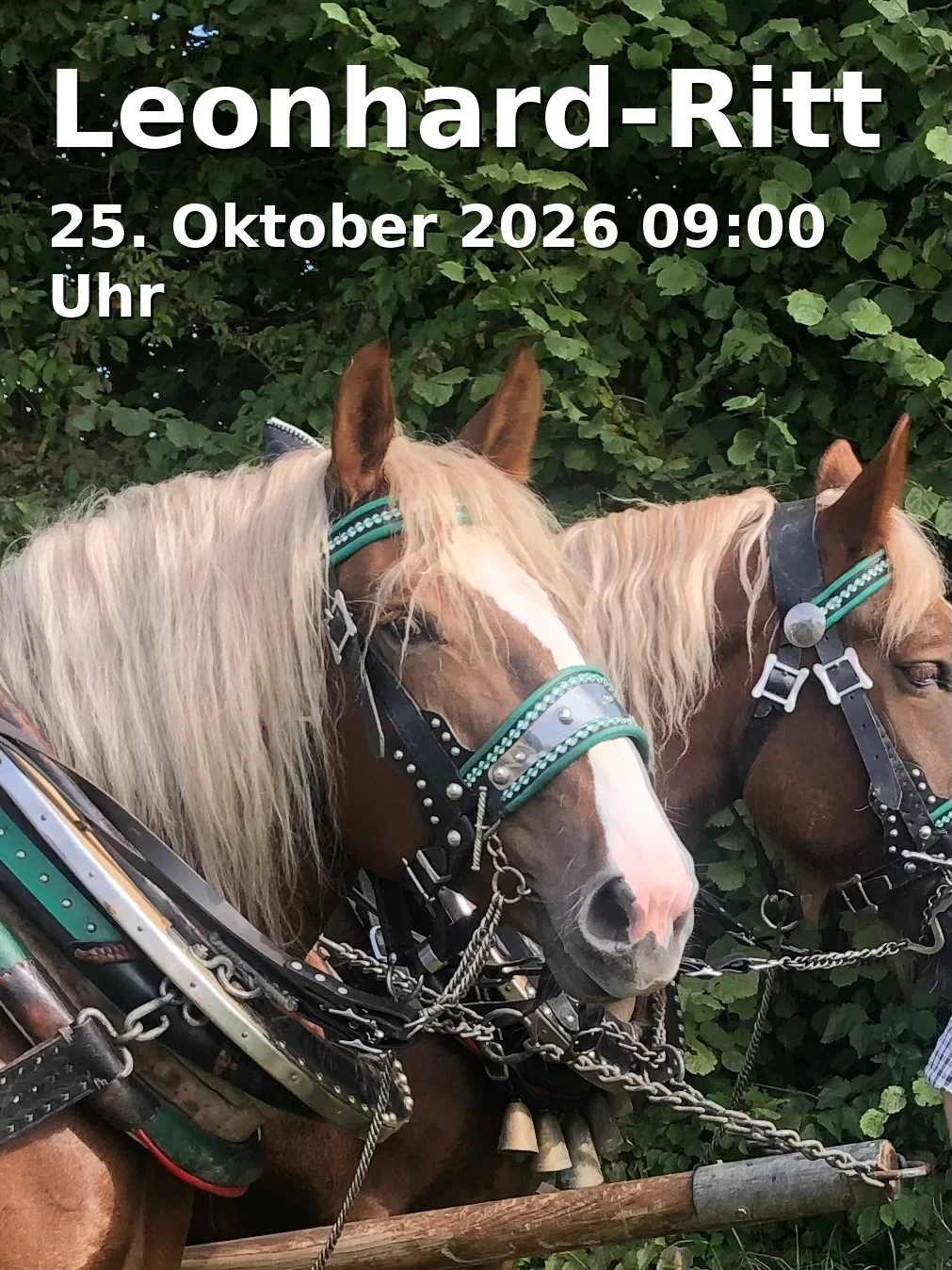 Event: Leonhard-Ritt in Grasweg, 83071 Stephanskirchen, Deutschland on 25. Oktober 2026