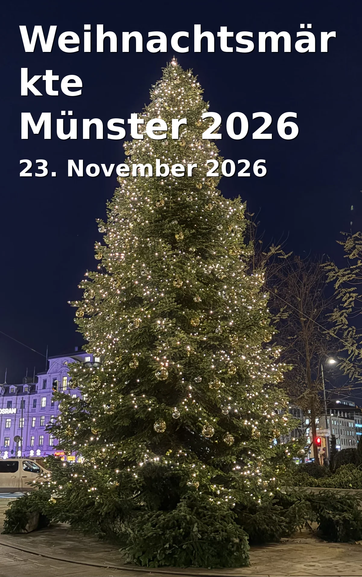 Weihnachtsmärkte Münster 2026