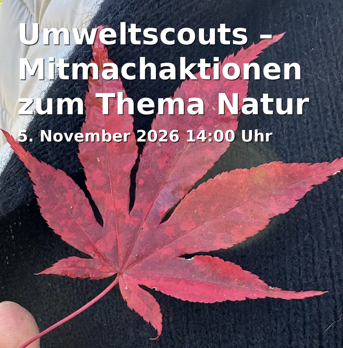 Event: Umweltscouts – Mitmachaktionen zum Thema Natur und Umwelt in Quartiersladen Schalke, Liboriusstraße 63a, 45881 Gelsenkirchen on 5. November 2026