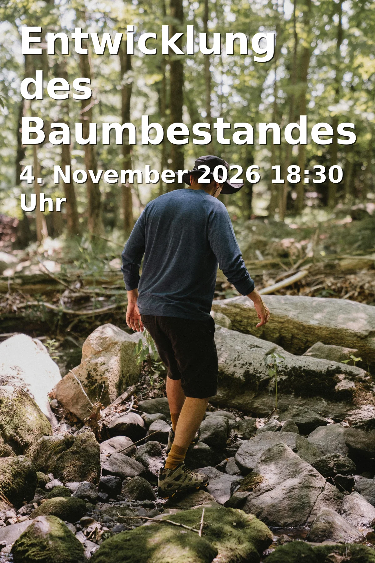 Event: Entwicklung des Baumbestandes in Duisburg in VHS - Volkshochschule im Stadtfenster, Steinsche Gasse 26, 47051 Duisburg on 4. November 2026
