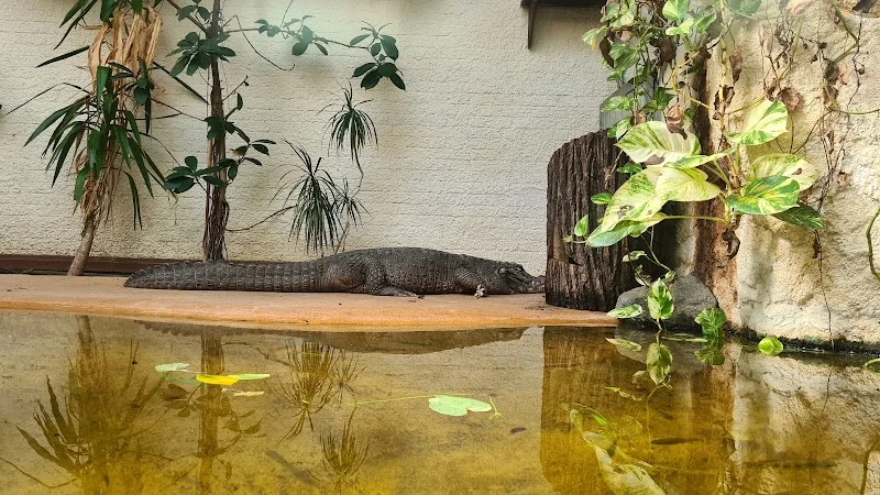 Event: Vivarium Darmstadt