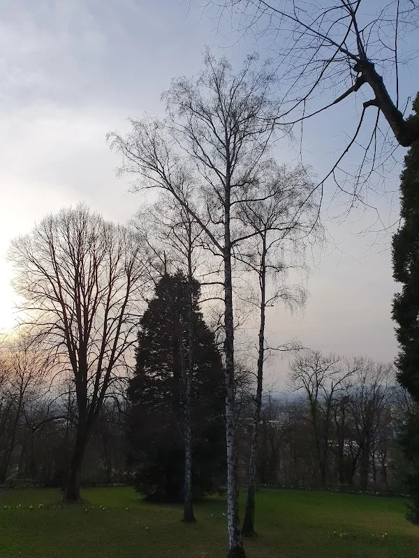 Lorettostraße - Freiburg im Breisgau