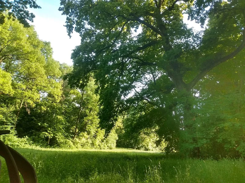 Waldpark Mannheim