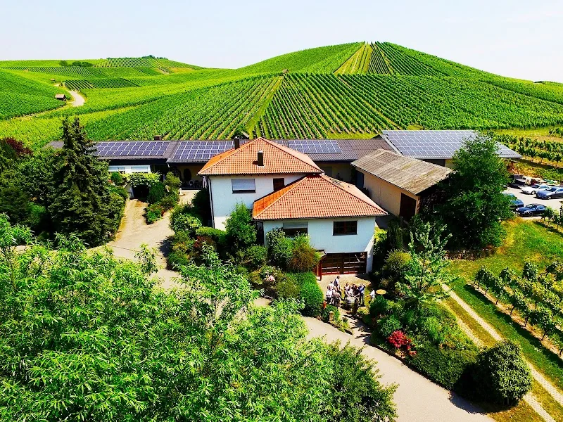 Weingut Fischer - Heilbronn