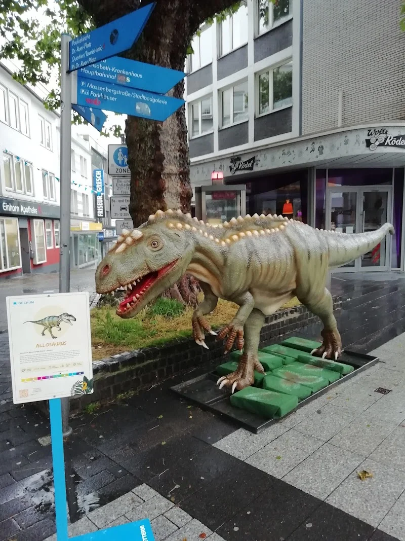 Event: Bongardstraße