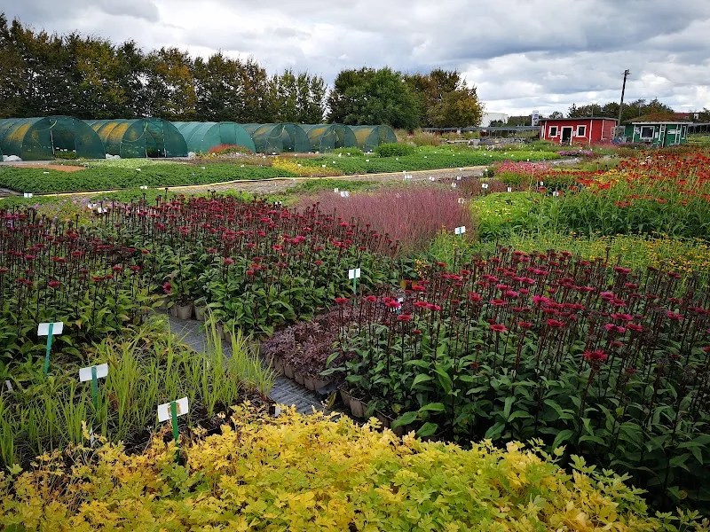 Event: Bamberger Staudengarten Verkauf
