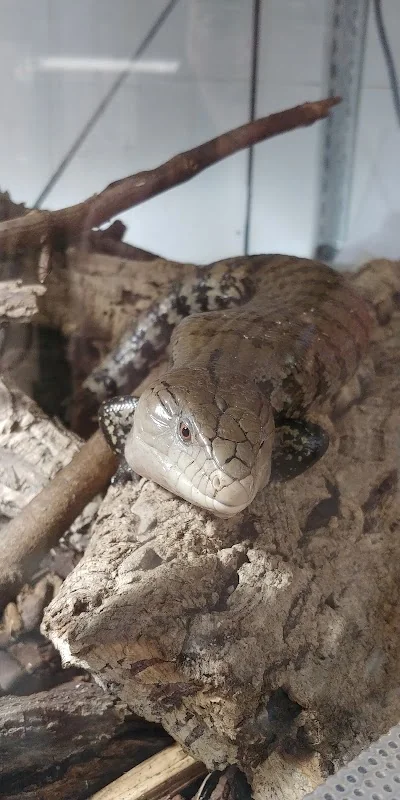 Auffangstation für Reptilien München e.V.