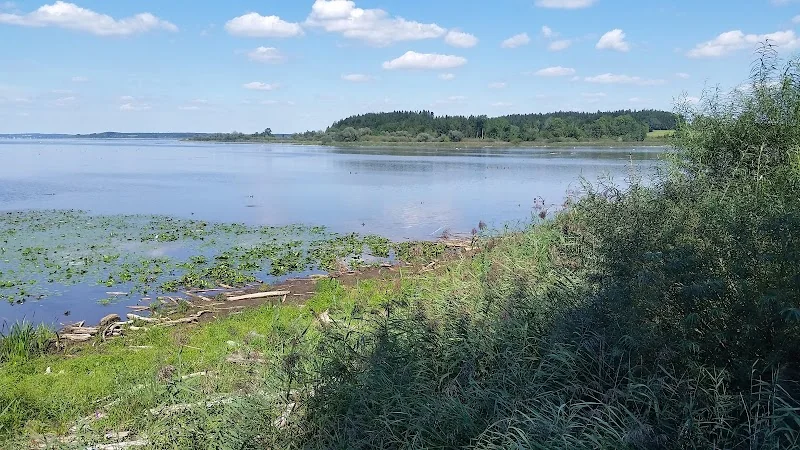 Event: Beobachtungsturm Hirschauer Bucht