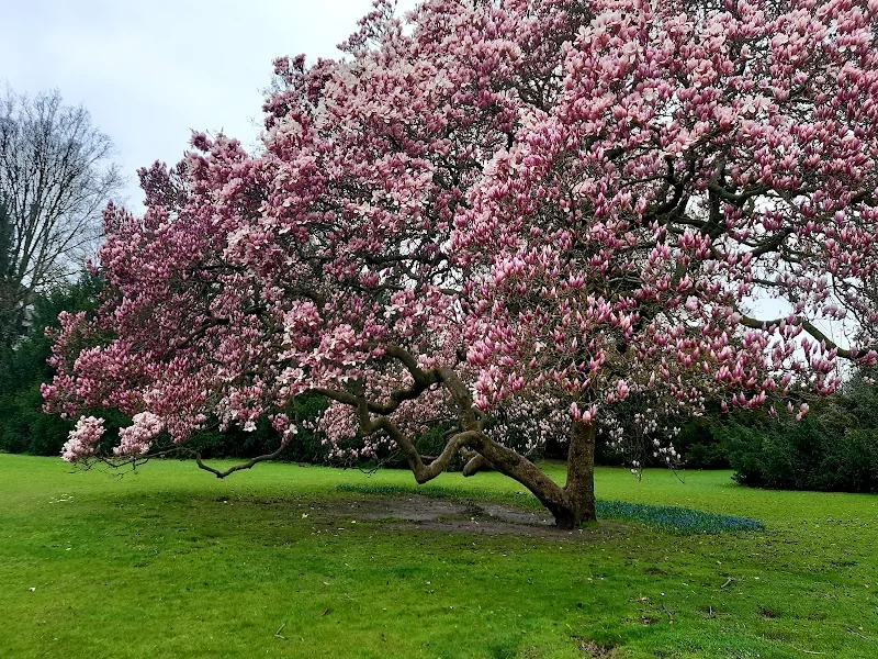 Event: Bochum Park