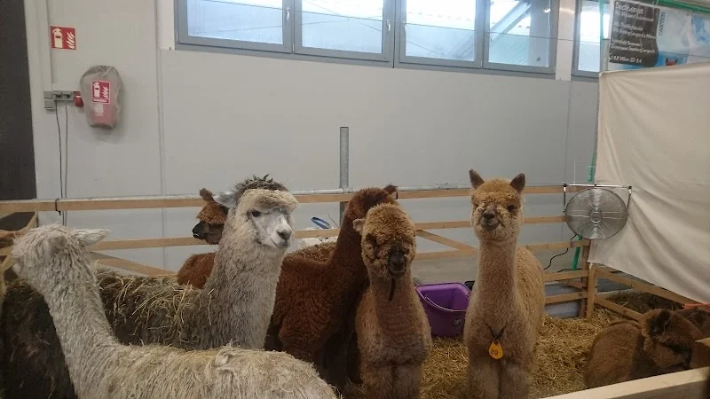 Event: Tierzuchtklause Bayreuth