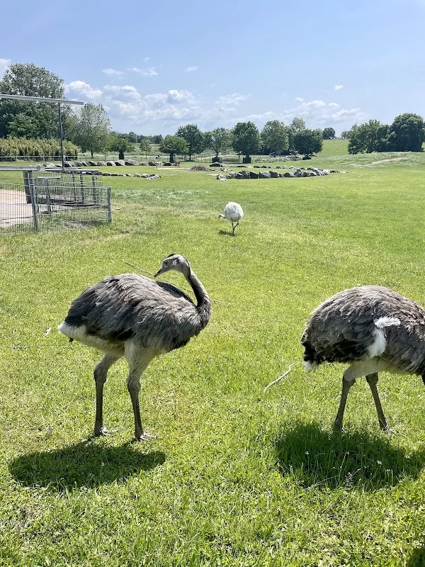 Mundenhof Tier-Natur-Erlebnispark