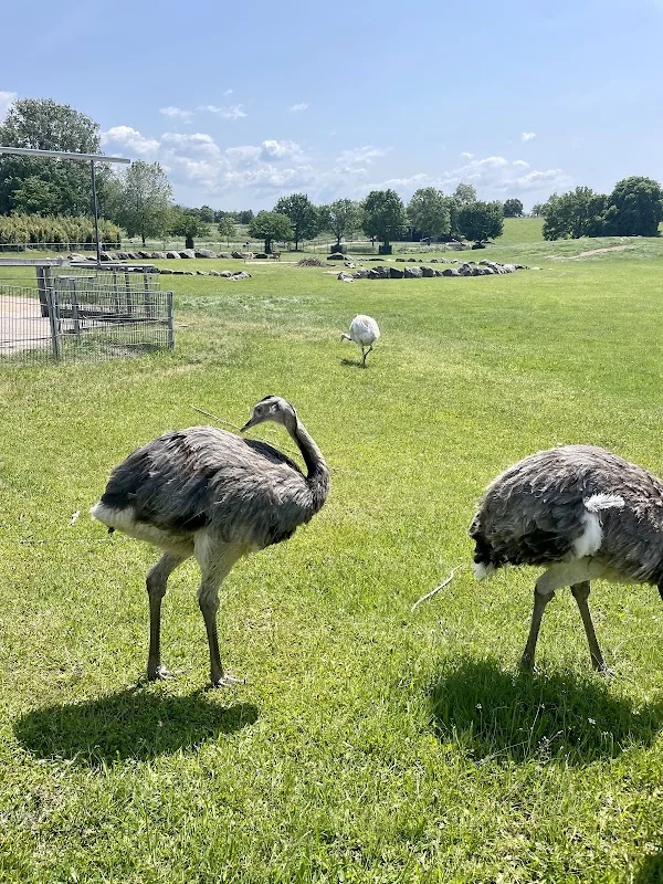 Event: Mundenhof Tier-Natur-Erlebnispark