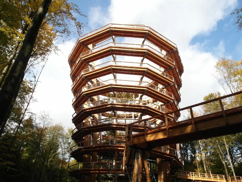 Event: Baumwipfelpfad Steigerwald